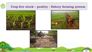 Crop-live stock – poultry - fishery farming system
34
 