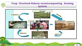 Crop- livestock-fishery-vermicomposting farming
system
35
 