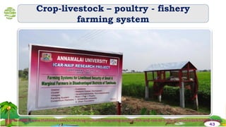 Crop-livestock – poultry - fishery
farming system
Source :http://www.thehindu.com/sci-tech/agriculture/integrating-poultry-fish-and-rice-to-triple-income/article5265328.ece
43
 