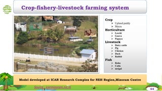 Source : icarmizoram.nic.in
Model developed at ICAR Research Complex for NEH Region,Mizoram Centre
Crop-fishery-livestock farming system
Crop
 Upland paddy
 Maize
Horticulture
 Leechi
 Guava
 Papaya
Livestock
 Dairy cattle
 Pig
 Chicken
 Duck
 Rabbit
Fish
 Rohu
 Catla
 mrigal
44
 