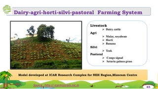 Source : http:// icarmizoram.nic.in
Dairy-agri-horti-silvi-pastoral Farming System
Model developed at ICAR Research Complex for NEH Region,Mizoram Centre
Livestock
 Dairy cattle
Agri
 Maize, soyabean
 Horti
 Banana
Silvi
 Teak
Pastoral
 Congo signal
 Setaria guinea grass
45
 