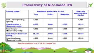 Farming system Component productivity (Kg/ha) Rice-grain
equivalent yield
(Kg/ha)
Crop Poultry Mushroom
Rice – fallow (Existing
system)
4,311 - - 4,311
Rice-Groundnut +
Mushroom+ poultry
6,557 6,060 4,305 16,922
Rice-Cowpea+
Mushroom+ poultry
7,662 6,060 4,305 18,027
Rice-Brinjal+ Mushroom+
poultry
11,122 6,060 4,305 21,487
Rice-Sunn hemp+
Mushroom+ poultry
4,993 6,060 4,305 15,358
(Manjunath & Itnal, 2003)
Productivity of Rice-based IFS
Experiment conducted at the ICAR Res. Complex, Goa
Source :http://icargoa.res.in/ifs0613.html
46
 