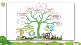 Source :http://pdfsr.ernet.in/AICRP/aicrp_cs_objective.html Vision 2050
54
 