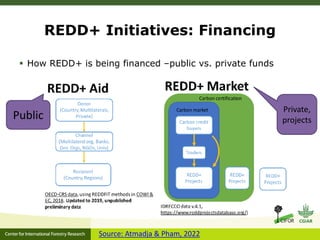 The role of forest in climate change mitigation: Introduction to REDD+ ...