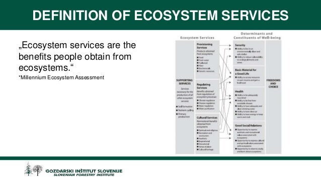 millennium ecosystem assessment 2015 pdf
