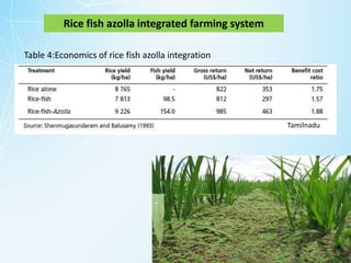 Ifs for high rainfall areas | PPTX