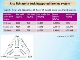 Ifs for high rainfall areas | PPTX