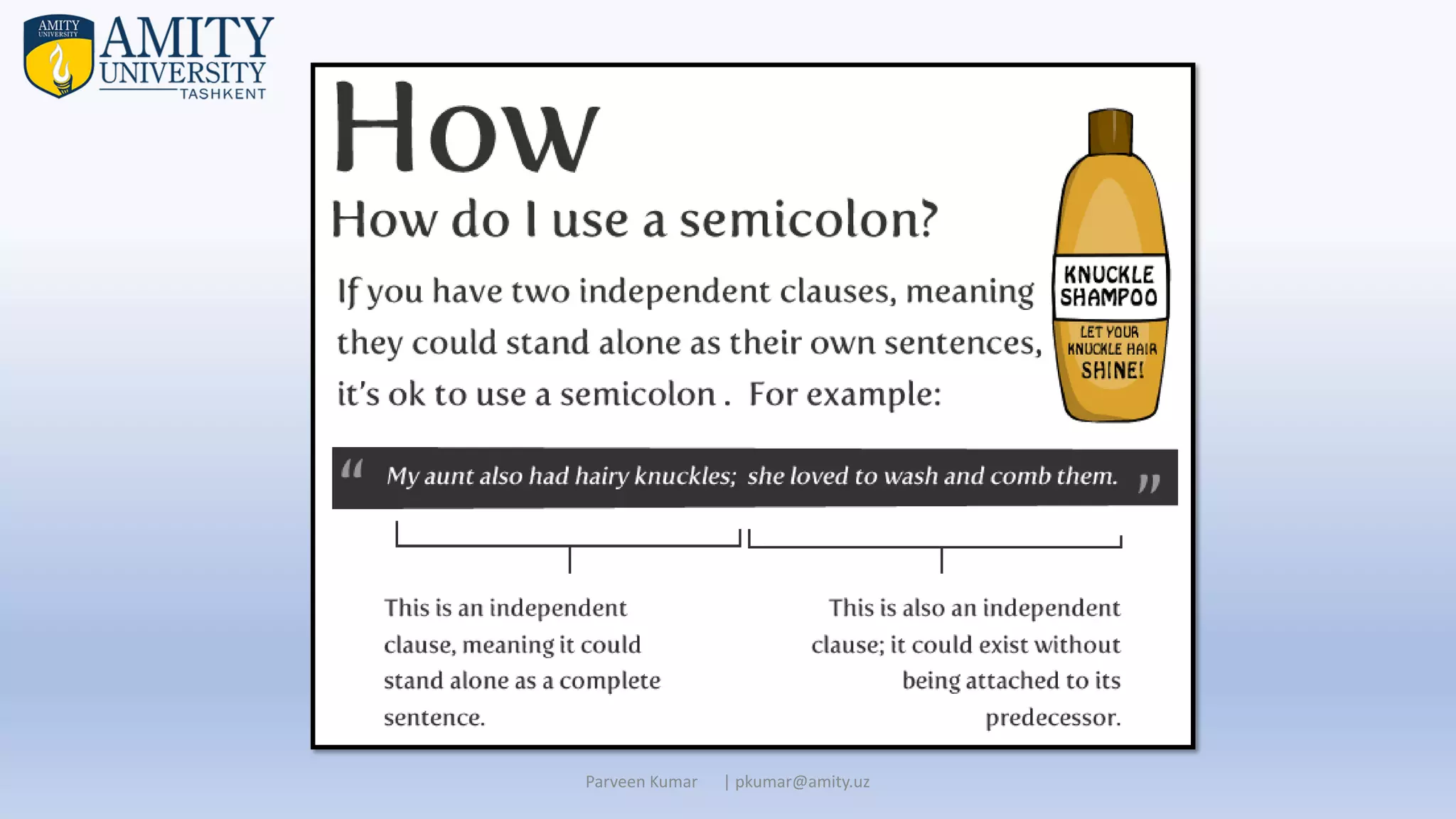 Parveen Kumar | pkumar@amity.uz
 