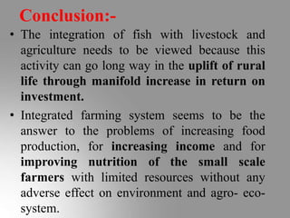 Conclusion:-
• The integration of fish with livestock and
agriculture needs to be viewed because this
activity can go long way in the uplift of rural
life through manifold increase in return on
investment.
• Integrated farming system seems to be the
answer to the problems of increasing food
production, for increasing income and for
improving nutrition of the small scale
farmers with limited resources without any
adverse effect on environment and agro- eco-
system.
 