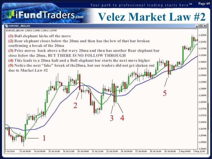 Trader