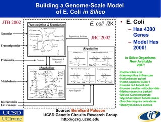 Building a Genome-Scale Model  of E. Coli  in Silico E. Coli Has 4300 Genes Model Has 2000! Source:  Bernhard Palsson UCSD Genetic Circuits Research Group http://gcrg.ucsd.edu JTB 2002 JBC 2002 in Silico  Organisms  Now Available 2007: Escherichia coli  Haemophilus influenzae  Helicobacter pylori  Homo sapiens Build 1 Human red blood cell  Human cardiac mitochondria  Methanosarcina barkeri  Mouse Cardiomyocyte  Mycobacterium tuberculosis  Saccharomyces cerevisiae  Staphylococcus aureus   
