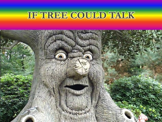 if a tree could talk what would it say