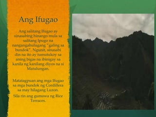 Ang Ifugao
    Ang salitang Ifugao ay
 sinasabing hinango mula sa
      salitang Ipugo na
nangangahulugang “galing sa
  bundok”. Ngunit, sinasabi
 din na ito ay tumutukoy sa
  aning bigas na ibinigay sa
kanila ng kanilang diyos na si
        Matulungan.


Matatagpuan ang mga Ifugao
sa mga bundok ng Cordillera
   sa may hilagang Luzon.
Sila rin ang gumawa ng Rice
           Terraces.
 