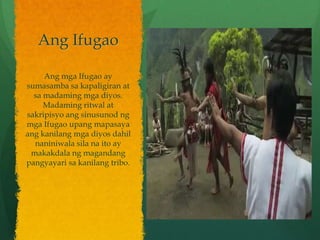 Ang Ifugao

     Ang mga Ifugao ay
sumasamba sa kapaligiran at
  sa madaming mga diyos.
     Madaming ritwal at
sakripisyo ang sinusunod ng
mga Ifugao upang mapasaya
ang kanilang mga diyos dahil
  naniniwala sila na ito ay
 makakdala ng magandang
pangyayari sa kanilang tribo.
 