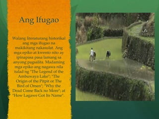 Ang Ifugao

Walang literaturang historikal
       ang mga ifugao na
   makikitang nakasulat. Ang
 mga epiko at kwento nito ay
   ipinapasa pasa lamang sa
 anyong pagsalita. Madaming
  mga epiko ang nagawa nila
  tulad ng "The Legend of the
    Ambuwaya Lake"; "The
   Origin of the Pitpit or The
    Bird of Omen"; "Why the
Dead Come Back no More"; at
"How Lagawe Got Its Name".
 