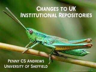 Changes to UK
Institutional Repositories
Penny CS Andrews
University of Sheffield
Gilles San Martin, Fotopedia (CC BY -SA)
 