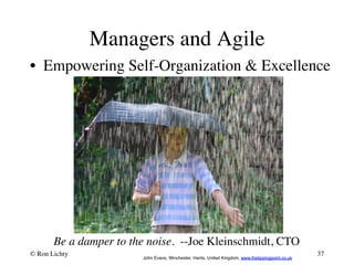 Managers and Agile 
• Empowering Self-Organization  Excellence 
Be a damper to the noise. --Joe Kleinschmidt, CTO 
© Ron Lichty 
37 
John Evans, Winchester, Hants, United Kingdom, www.thetippingpoint.co.uk 
 