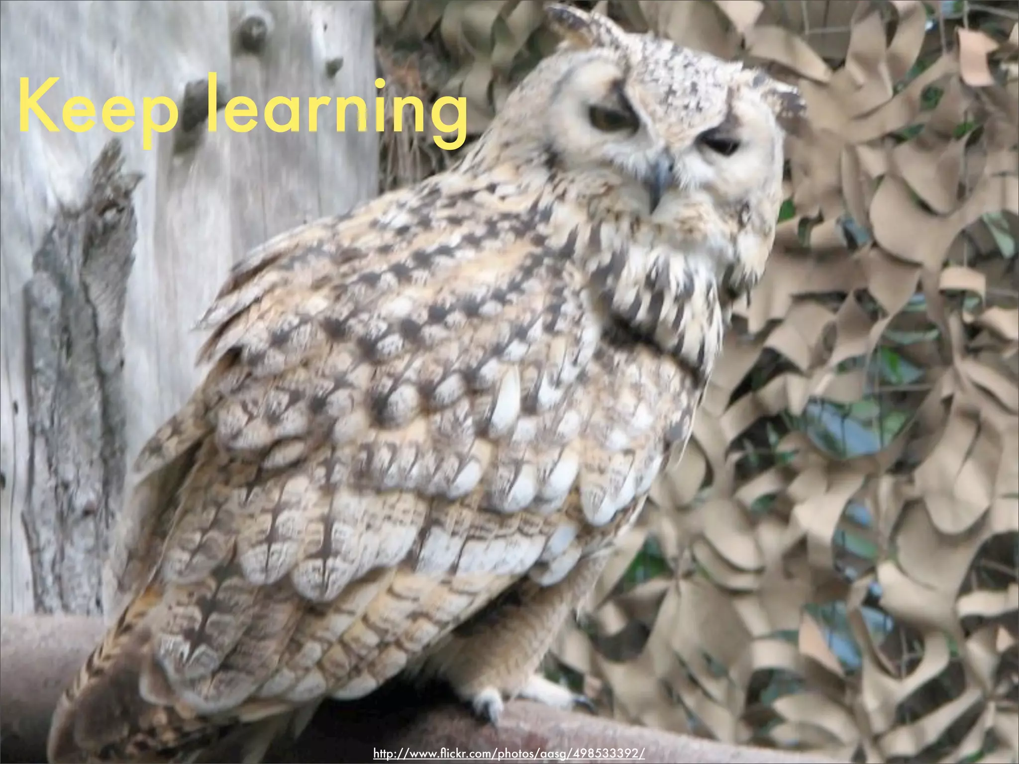 Keep learning




          http://www.ﬂickr.com/photos/aasg/498533392/
 