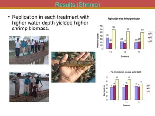Integrated Aqua-Agricultural Production Systems in the Brackish Water Zones of Bangladesh
