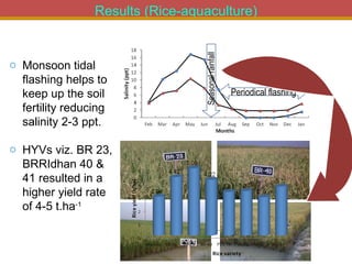Integrated Aqua-Agricultural Production Systems in the Brackish Water Zones of Bangladesh