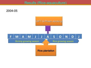 Integrated Aqua-Agricultural Production Systems in the Brackish Water Zones of Bangladesh