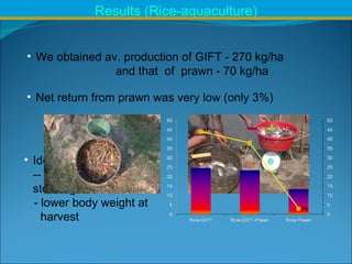 Integrated Aqua-Agricultural Production Systems in the Brackish Water Zones of Bangladesh