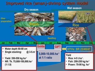Integrated Aqua-Agricultural Production Systems in the Brackish Water Zones of Bangladesh