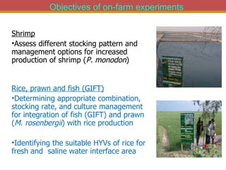 Integrated Aqua-Agricultural Production Systems in the Brackish Water Zones of Bangladesh