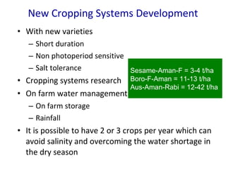 Improving Drainage is Crucial for Cropping Intensification in the Poldered Coastal Zones of Bangladesh
