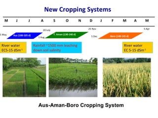 Improving Drainage is Crucial for Cropping Intensification in the Poldered Coastal Zones of Bangladesh