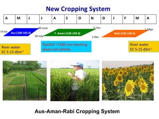 Improving Drainage is Crucial for Cropping Intensification in the Poldered Coastal Zones of Bangladesh