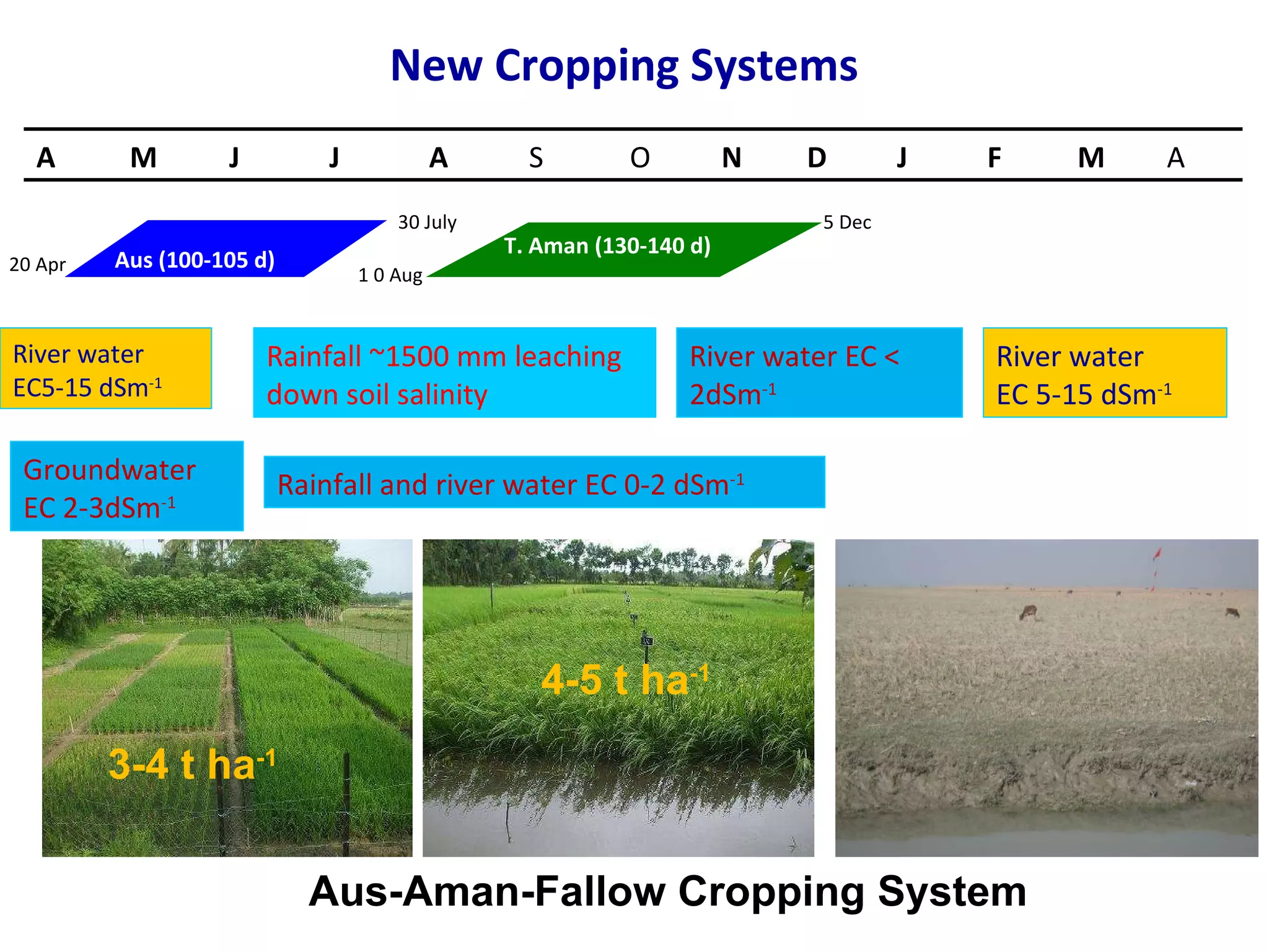 New Cropping Systems 20 Apr 30 July 1 0 Aug 5 Dec River water EC5-15 dSm -1 River water  EC 5-15 dSm -1 Rainfall ~1500 mm leaching down soil salinity Aus-Aman-Fallow Cropping System Groundwater EC 2-3dSm -1 River water EC < 2dSm -1 Rainfall and river water EC 0-2 dSm -1 3-4 t ha -1 4-5 t ha -1 T. Aman (130-140 d) Aus (100-105 d) A M J J A S O N D J F M A 