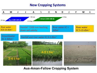 Aus-Aman Cropping System:New Approach for Increasing Cropping Intensity in Southwest Coastal Bangladesh