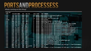PortsANDProcessessWhats running on this thing?
 