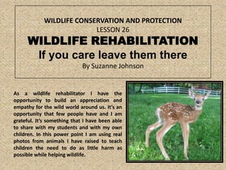 WILDLIFE CONSERVATION AND PROTECTION
LESSON 26

WILDLIFE REHABILITATION
If you care leave them there
By Suzanne Johnson

As a wildlife rehabilitator I have the
opportunity to build an appreciation and
empathy for the wild world around us. It’s an
opportunity that few people have and I am
grateful. It’s something that I have been able
to share with my students and with my own
children. In this power point I am using real
photos from animals I have raised to teach
children the need to do as little harm as
possible while helping wildlife.

 