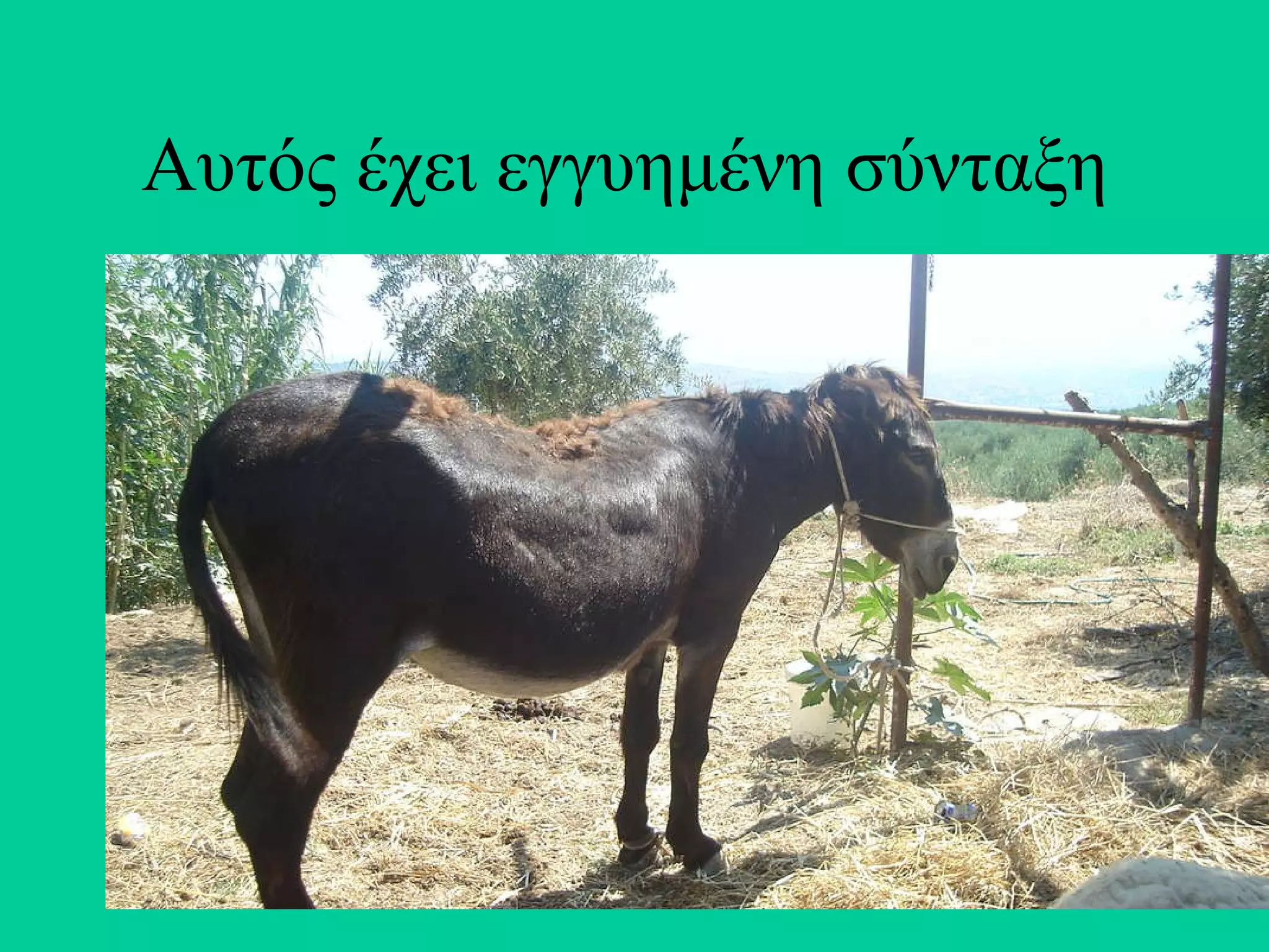 Αυτός έχει εγγυημένη σύνταξη  