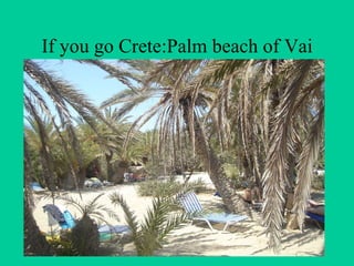 If you go Crete:Palm beach of Vai 
