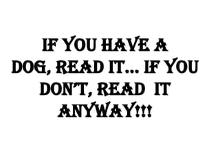 If you have a
dog, read it… if you
don’t, read it
anyway!!!

 