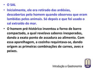 • O SAL
• lnicialmente, ele era retirado das ardósias,
descobertas pelo homem quando observou que eram
lambidas pelos animais. Só depois e que foi usado o
sal extraído do mar.
• O homem pré-histórico inventou a forno de barro
compactado, a qual revelava sabores inesperados,
dando a exato ponto de assadura ao alimento. Com
essa aparelhagem, a cozinha requintava-se, dando
origem as primeiras combinações de carnes, aves e
peixes.
Introdução a Gastronomia
 