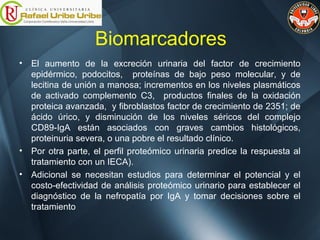 Biomarcadores
• El aumento de la excreción urinaria del factor de crecimiento
epidérmico, podocitos, proteínas de bajo peso molecular, y de
lecitina de unión a manosa; incrementos en los niveles plasmáticos
de activado complemento C3, productos finales de la oxidación
proteica avanzada, y fibroblastos factor de crecimiento de 2351; de
ácido úrico, y disminución de los niveles séricos del complejo
CD89-IgA están asociados con graves cambios histológicos,
proteinuria severa, o una pobre el resultado clínico.
• Por otra parte, el perfil proteómico urinaria predice la respuesta al
tratamiento con un IECA).
• Adicional se necesitan estudios para determinar el potencial y el
costo-efectividad de análisis proteómico urinario para establecer el
diagnóstico de la nefropatía por IgA y tomar decisiones sobre el
tratamiento
 