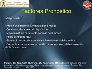 Factores Pronóstico
Mal pronóstico
•Proteinuria mayor a 500mg/día por 6 meses
•Creatinina elevada en el diagnóstico
•Microhematuria persistente por mas de 6 meses
•Pobre control de HTA
•Glomerulo esclerosis extensiva o fibrosis intersticial o ambos
•Creciente extensiva peor pronóstico a corto plazo + deterioro rápido
de la función renal
Donadio JV, Bergstralh EJ, Grande JP, Rademcher DM. Proteinuria patterns and their
association with subsequent end-stage renal disease in IgA nephropathy. Nephrol Dial
Transplant 2002; 17:1197– 1203.
 