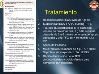 Tratamiento
1. Recomendación: IECA: Mas de 1g/ día.
2. Sugerencia: IECA o ARA: 500 mg – 1 g.
3. Tto. con glucocorticoides si la excreción
urinaria de proteínas de> 1 g / día continúa
después de 3 a 6 meses de terapia de apoyo
adecuada y una TFG de > 50 ml/min/1.73
m2.
4. Aceite de Pescado.
5. Meta: proteinuria menor de 1 g. TA: 130/80,
SI proteinuria mayor de 1. TA: 125/75.
6. Rápida disminución de la TFG:
glucocorticoides y ciclofosfamida para
nefropatía IgA creciente.
 