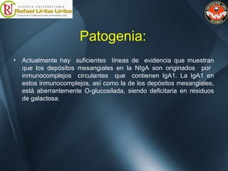 Patogenia:
• Actualmente hay suficientes líneas de evidencia que muestran
que los depósitos mesangiales en la NIgA son originados por
inmunocomplejos circulantes que contienen IgA1. La IgA1 en
estos inmunocomplejos, así como la de los depósitos mesangiales,
está aberrantemente O-glucosilada, siendo deficitaria en residuos
de galactosa.
 