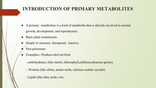 INTRODUCTION OF PRIMARY METABOLITES
● A primary metabolites is a kind of metabolite that is directly involved in normal
growth, development, and reproduction.
● Basic plant constituents.
● Simple in structure, therapeutic inactive.
● Non poisonous.
● Examples:- Products derived from
- carbohydrates, (like starch, chlorophyll,cellulose,aleurone grains)
- Proteins (like chitin, amino acids, calcium oxalate crystals)
- Lipids (like fatty acids ) etc.
 