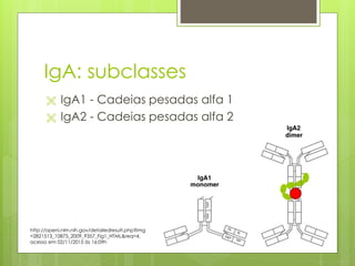 IgA: subclasses
 IgA1 - Cadeias pesadas alfa 1
 IgA2 - Cadeias pesadas alfa 2
http://openi.nlm.nih.gov/detailedresult.php?img
=2821513_10875_2009_9357_Fig1_HTML&req=4,
acesso em 02/11/2015 às 16:09h
 