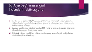Ig A’ya bağlı mezangial
hücrelerin aktivasyonu
 In vitro olarak polimerik IgA’lar, mezangial hücrelerin fenotipik bir dönüşümüne
neden olarak mezangial hücre proliferasyonuna ve hücre dışı matris bileşenlerinin
salgılanmasına yol açar.
 IgAN’da transforming büyüme faktörü (TGF) -beta ve renin-anjiyotensin sisteminin
bileşenlerinin artmış ekspresyonu vardır.
 Polimerik IgA’nın, interlökin-6 gibi pro-enflamatuvar ve profibrotik molekülle- rin
üretimini teşvik ettiği görünür
 