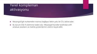 Yerel kompleman
aktivasyonu
 Mezangial IgA muhtemelen mannoz bağlayıcı lektin yolu ile C3’ü aktive eder.
 Bu durum C5b-9 üretimine neden olur. Mezangial hücreler tarafından enfl-
amatuar aracıların ve matriks proteinlerinin üretimi teşvik edilir.
 