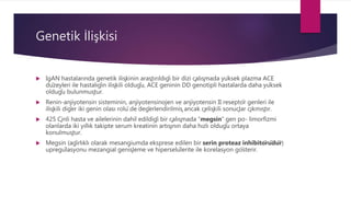 Genetik İlişkisi
 IgAN hastalarında genetik ilişkinin araştırıldığı bir dizi çalışmada yüksek plazma ACE
düzeyleri ile hastalığın ilişkili olduğu, ACE geninin DD genotipli hastalarda daha yüksek
olduğu bulunmuştur.
 Renin-anjiyotensin sisteminin, anjiyotensinojen ve anjiyotensin II reseptör genleri ile
ilişkili diğer iki genin olası rolü de değerlendirilmiş ancak çelişkili sonuçlar çıkmıştır.
 425 Çinli hasta ve ailelerinin dahil edildiği bir çalışmada “megsin” gen po- limorfizmi
olanlarda iki yıllık takipte serum kreatinin artışının daha hızlı olduğu ortaya
konulmuştur.
 Megsin (ağırlıklı olarak mesangiumda eksprese edilen bir serin proteaz inhibitörüdür)
upregülasyonu mezangial genişleme ve hiperselülerite ile korelasyon gösterir.
 