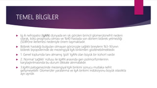 TEMEL BİLGİLER
 Ig A nefropatisi (IgAN) dünyada en sık görülen birincil glomerülonefrit nedeni
olarak, kötü prognozlu olması ve %40 hastada son dönem böbrek yetmezliği
(SDBY)ne ilerlemesi nedeniyle önem taşımaktadır.
 Böbrek hastalığı bulguları olmayan görünüşte sağlıklı bireylerin %3-16’sının
böbrek biyopsilerinde de mezengiyal IgA birikimleri gözlenebilmektedir.
 1. Genel toplumda tanı almamış ‘gizli’ IgAN olan büyük bir kohort vardır.
 2. Normal ‘sağlıklı’ nüfusu ile IgAN arasında gen polimorfizmlerinin
karşılaştırılmasında bu durum dikkate alınmalalıdır.
 3.IgAN patogenezinde mezengiyal IgA birikimi sonucu mutlaka nefrit
gelişmeyebilir. Glomerüler yaralanma ve IgA birikimi indüksiyonu büyük olasılıkla
ayrı ayrıdır.
 