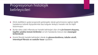 Progresyonun histolojik
belirleyicileri
 Klinik özelliklerin güçlü prognostik göstergeler olarak görünmesine rağmen IgAN
hastalarının böbrek biyopsilerinde bazı bulgular ilerleyici hastalık riski ile ilişkili
bulunmuştur.
 Bunlar daha ciddi inflamatuvar hastalık belirteçleri olan örneğin kresent oluşumu,
kapiller yatakta immün birikimler ve tüm hastalarda mevcut olan mezangial
birikimlerdir.
 Kronik fibrotik hastalık belirteçleri olarak da glomerüloskleroz, tübüler atrofi,
interstisyel fibrozis ve vasküler hasar sayılabilir.
 